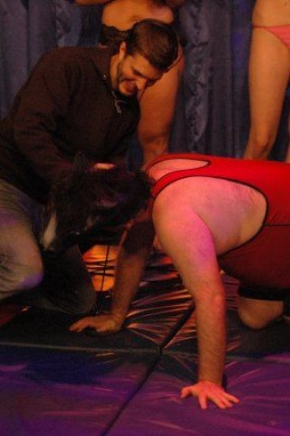 Who Does Howard Think Will Make It in Show Biz?