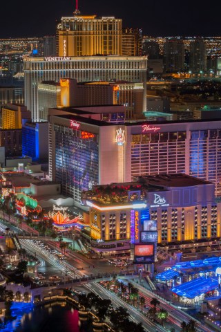 Two Vegas Pets For Artie