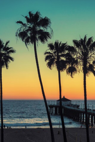 Where the Stars Swim & Play