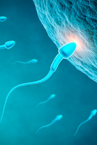 Riley's Been Working Since Before Gary Was a Sperm