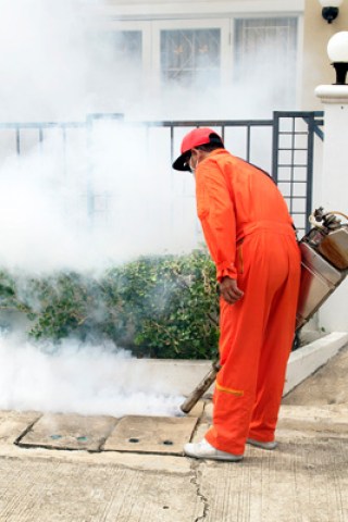 Dr. Rutledge Taylor: The Dude Who Drank DDT