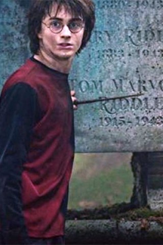 Gary Sees Tony Soprano at 'Harry Potter' Screening