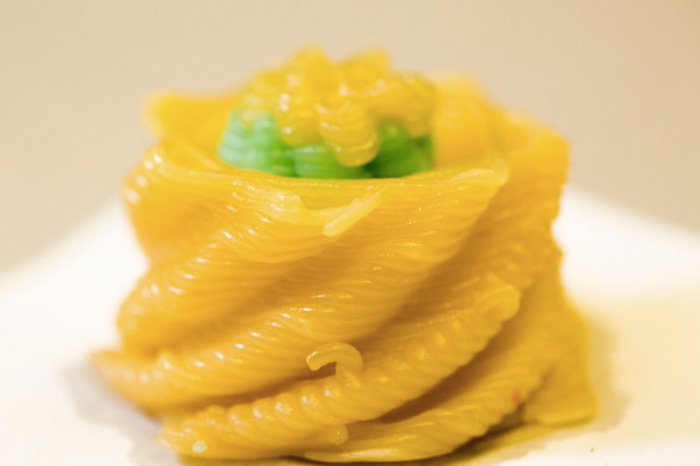 3D printed food from one of Hod Lipson's students