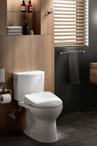 Robin Is a New Woman After Using a Toto Toilet