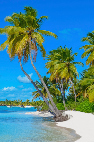 Ronnie Mund Gets Sexed Up in ‘Aruber’