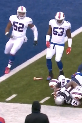 Video: Bills Fan Throws Dildo on Field During Game