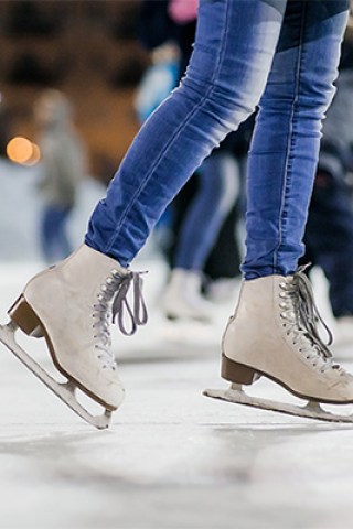 Fish-Filled Ice Skating Rink Closes Over Criticism
