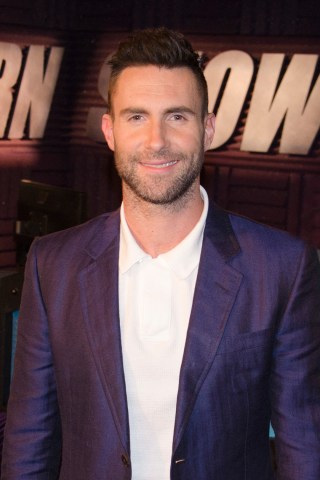 Adam Levine Talks Working With His 'Voice' Costars