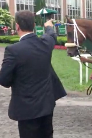 Sal Offers His Keys for Horse Racing Success​