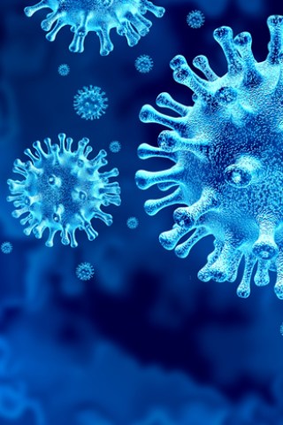 Read about Howard Caught COVID-19 Over the Break