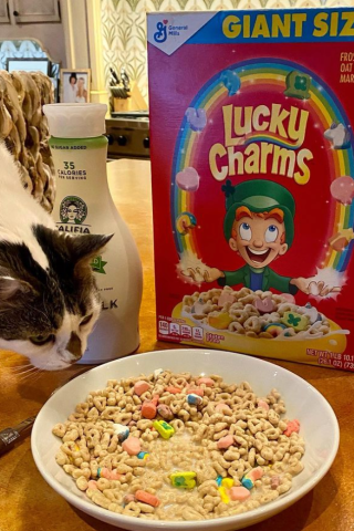 Beth Stern Has a Secret Breakfast