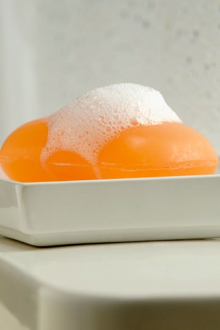 What Howard Hated, From Mosquitos to Soap Dishes