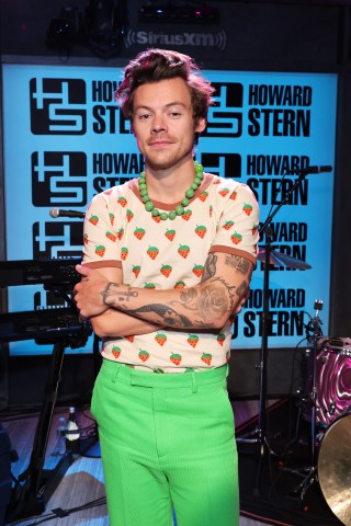 Read about Harry Styles Returns to the Stern Show