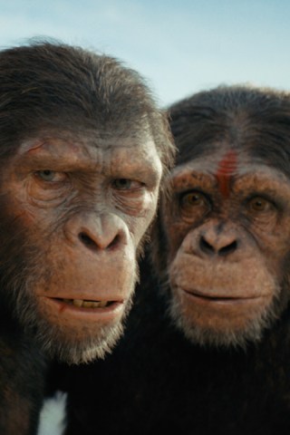 Read about ‘Kingdom of the Planet of the Apes’ Drops Trailer